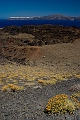 226_Nea Kameni
